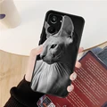 GGG3625