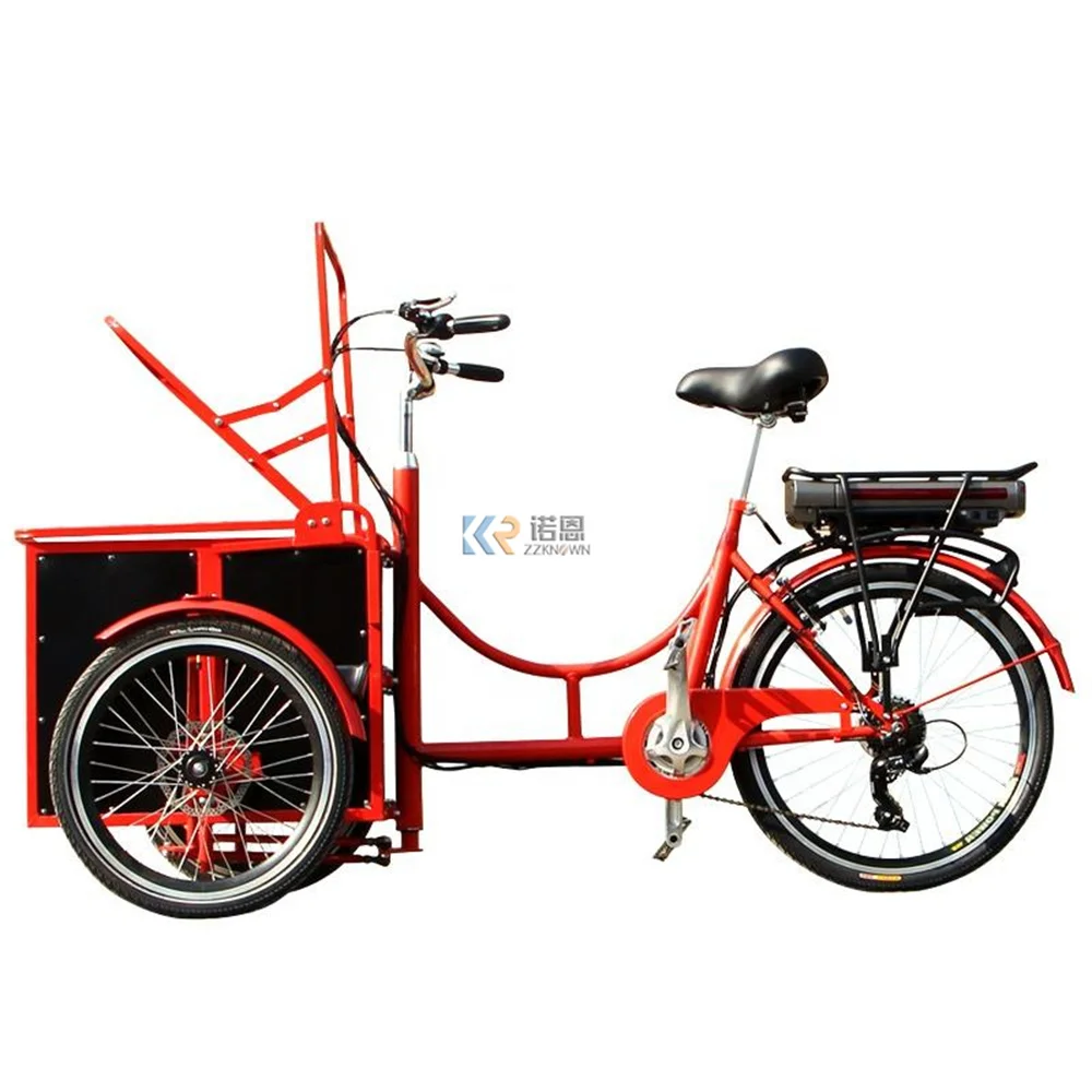 Bici Motorizzata Trike Olandese Per Il Trasporto Di Bambini E Animali Domestici Carrello Con Equipaggio Per Bici A Tre Ruote Camion Da Negozio Mobile 