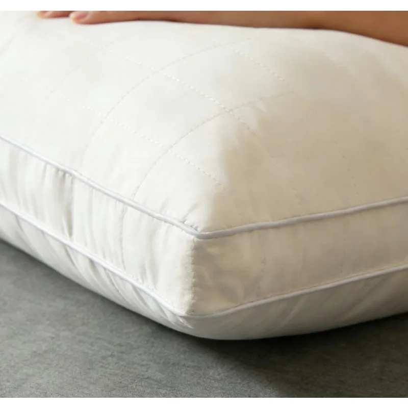 Luxury Mulberry Silk Pillow 3