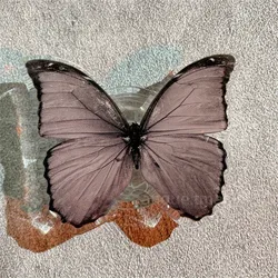 Acrylic Butterfly Phone Stand and Grip - Trendy Mobile Phone Accessory (3)