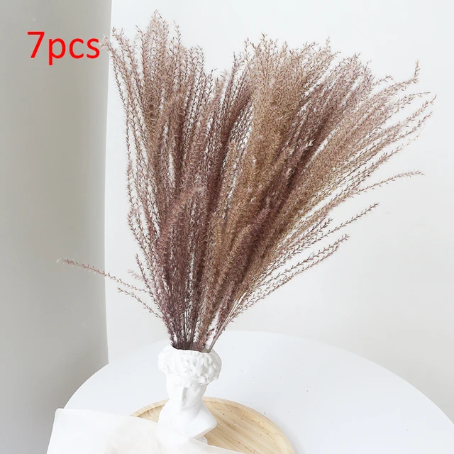 Feathers for Vase - 3 46 Large Pampas Grass Decor Tall - Dried Pampas Grass Vase - Boho Plants - Pompas Decorativas Tall - Fluffy Pampas Grass