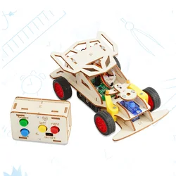 DIY Remote Control Car Kit - Educational Science Toy (Car)