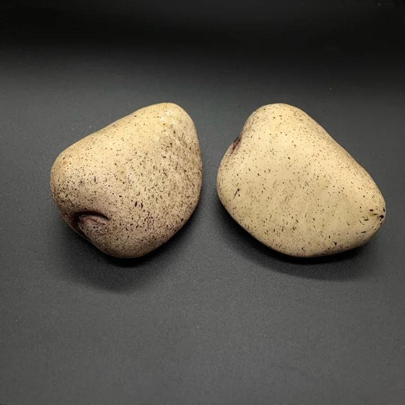 Рисунок 5 - коробка для денег с искусственными