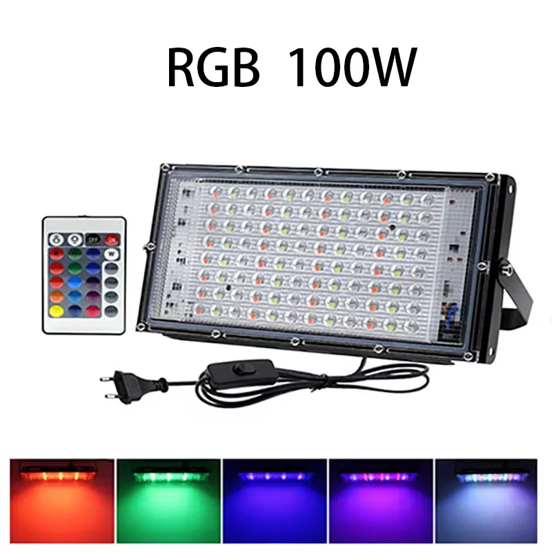 100RGB-EU Plug