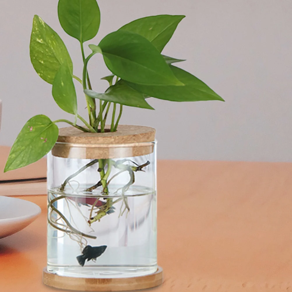 6 Pcs Plant Terrarium Micro Landscape Vase Wall Planter Cork Lid Supplies Hanging for Bottles Light Brown Hydroponic Ball Lids 6
