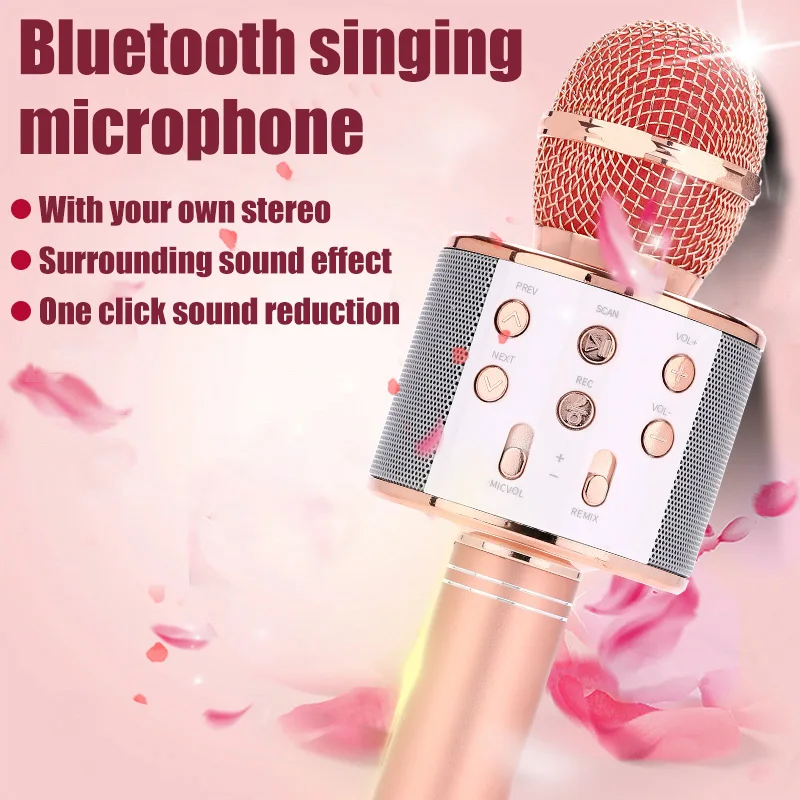 Haut-parleur de microphone sans fil compatible Bluetooth, lecteur KTV  domestique, Xiaomi, Huawei, Samsung, Smartphone, Ws858, 800mAh - AliExpress