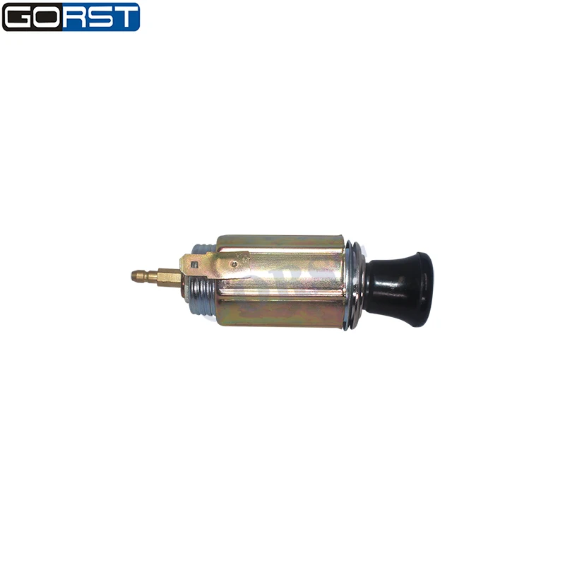 Accendisigari Universale Per Auto Per Ricambio Auto Microcar 12V 24V