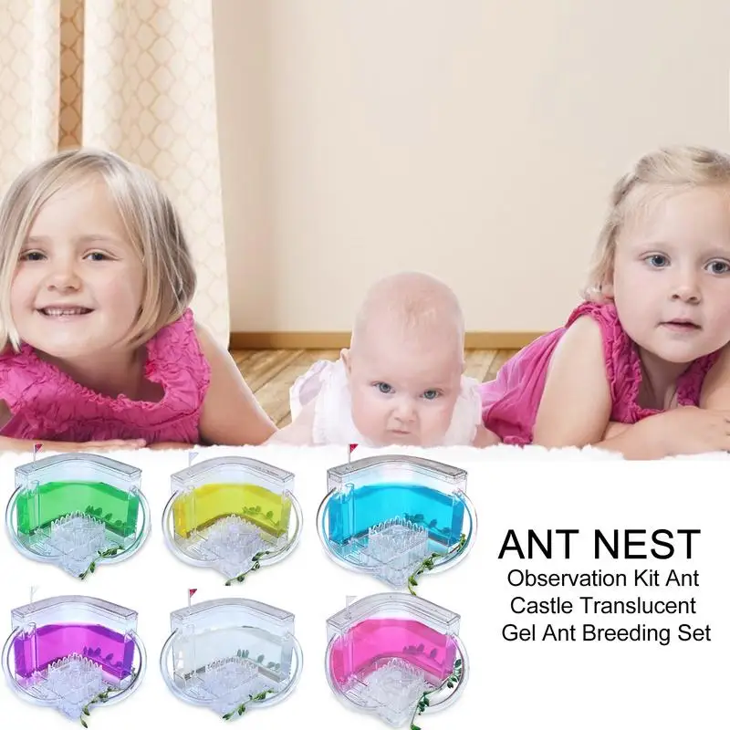 

Educational Ant Farm Acrylic Insect Test Tube Moisture Big Space Ant Nest Ants Villa House Ants Ecological Workshop 6 Colors