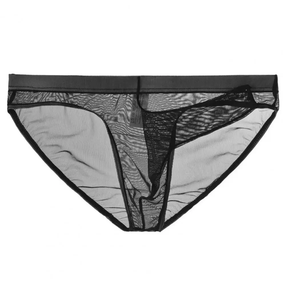 Men's Underwear Transparent Boxers Bulge Ice Silk See Through Low Rise 3D Elephant Nose Men Briefs Sexy Net Yarn Panties Sexy