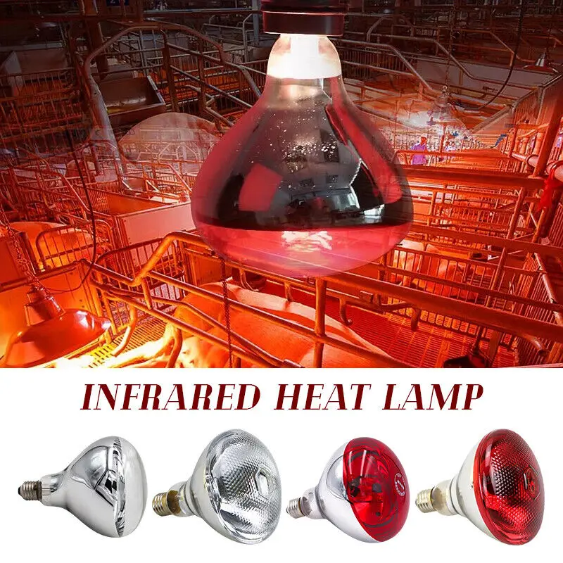 150/250W Infrared Heat Lamp Anti-Explosion Thickened Insulation Farming Heating Lamp Bulb E27 Waterproof Small Heat