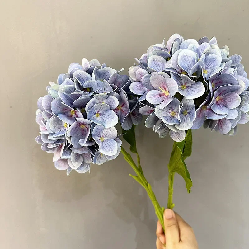 Light White Blue