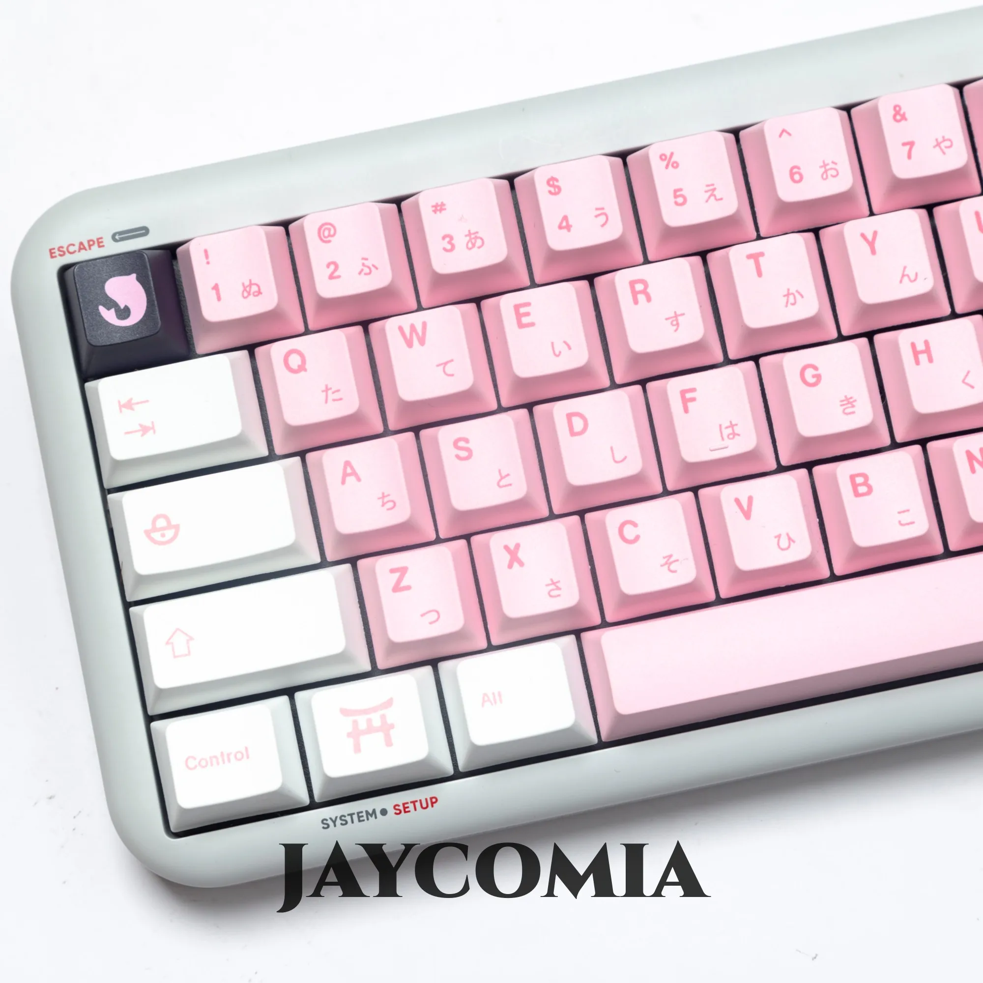 Jcm-pbt Cherry Keycaps Dye Sub Keycap para Gaming Teclado Mecânico 7u Espaço Dividido Teclado Alice 145 Chaves Sakura Grupo Pbt - Imagem 5