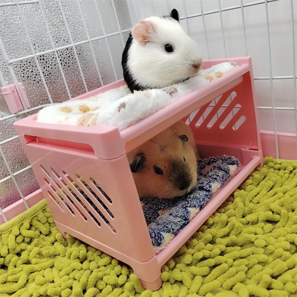 Sugar Glider Cage Guinea Pigs Cages Hamsters Sugar Gliders Sugar