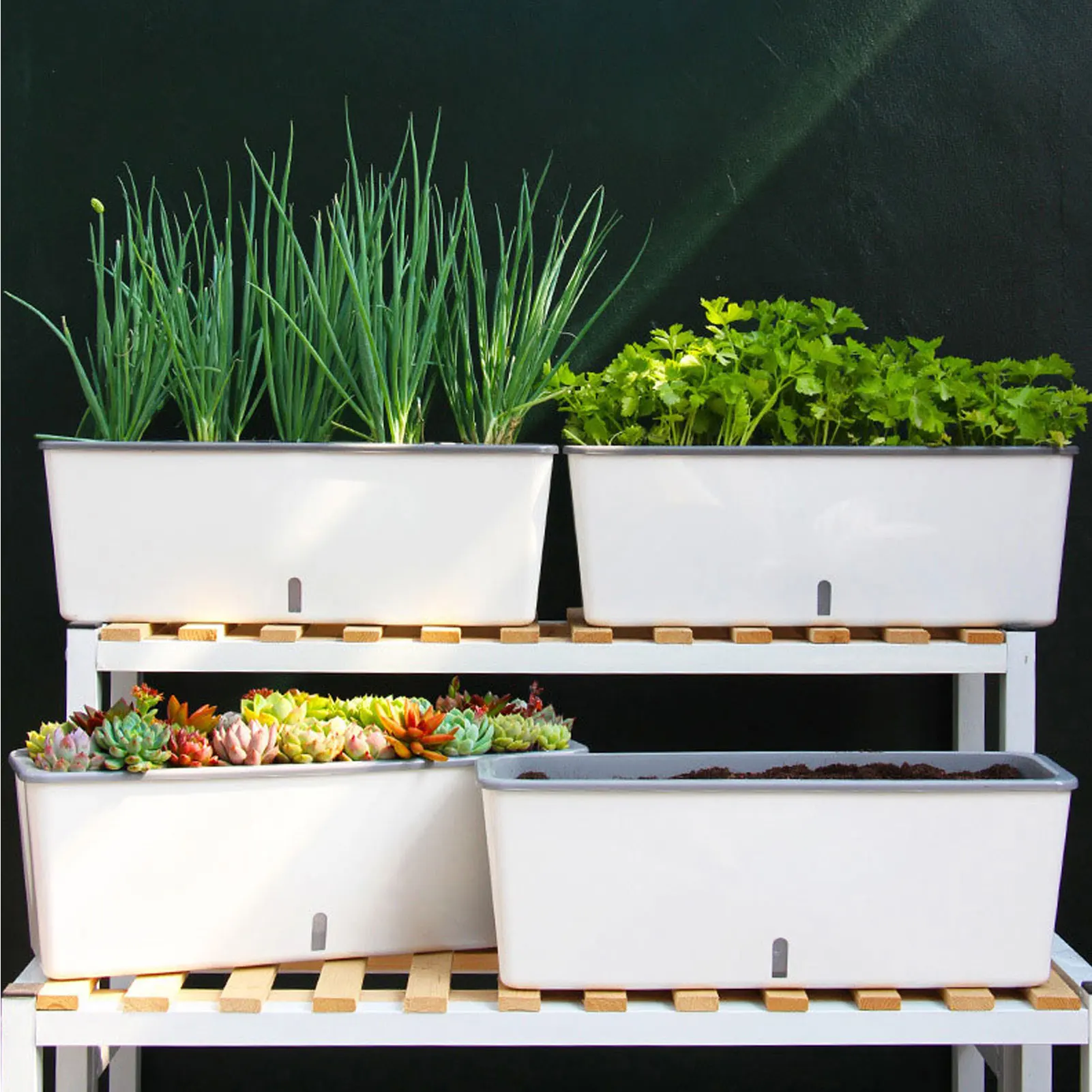 Self-Watering Indoor Planter Pots with Built-In Water Level Indicator