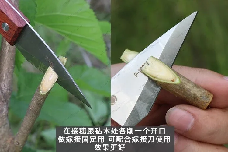 J60 전문 접목 도구 ? 고효율 과일나무 묘목 접목을 위한 다기능 정원용 가위