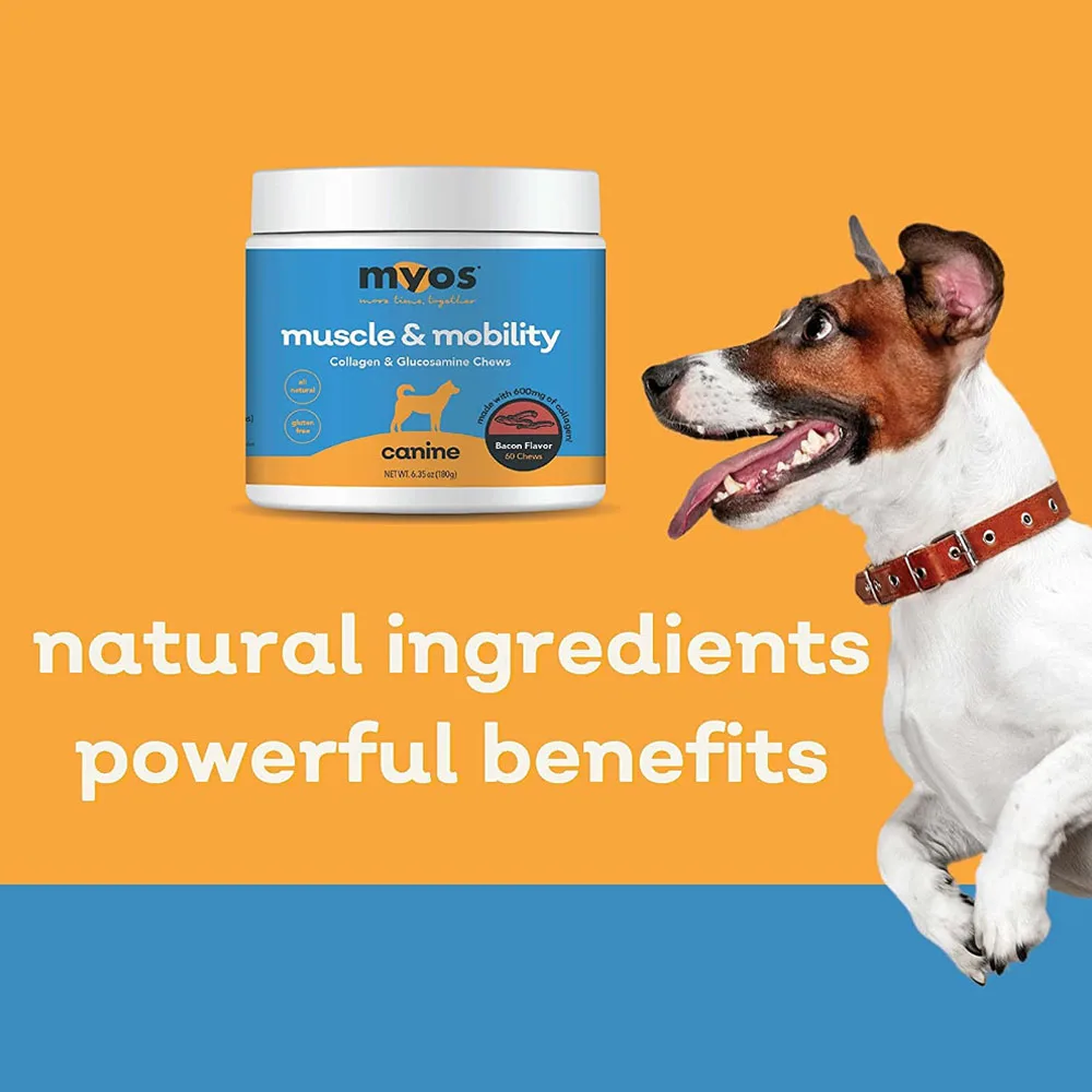 Dog Nutrition Collagen Canine Muscle & Mobility, Bulldog, Strengthen Muscles, Tendons, Bones and Joints, Improve Mobility