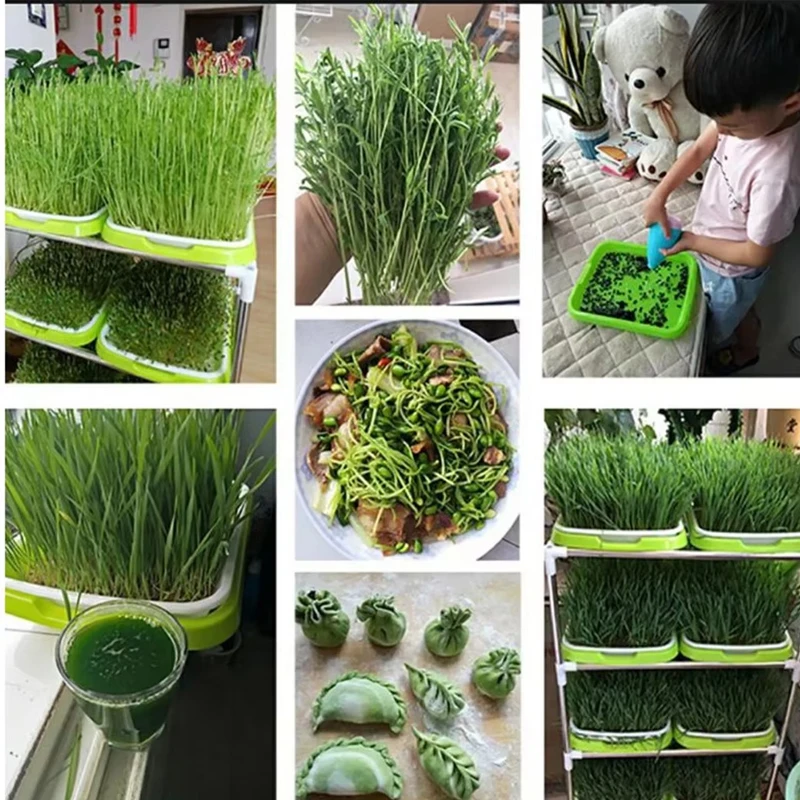 Microgreens Germination Tray Hydroponics/Germination Tray for Germination Horticulture Hydroponics System Garden Nursery Po