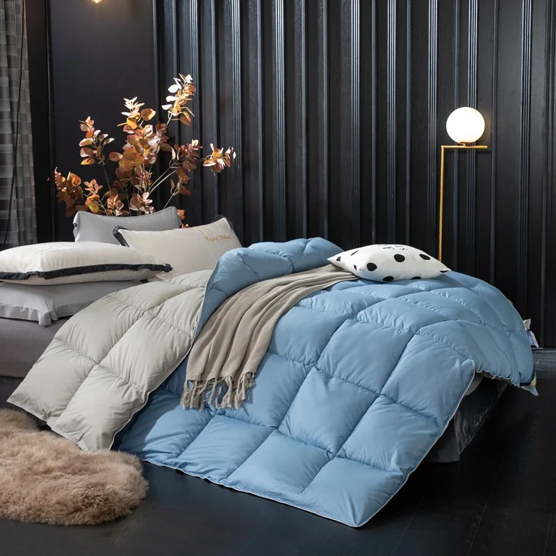 Down Duvet Cotton Winter Duvet Goose Down Duvet Core Student Thick