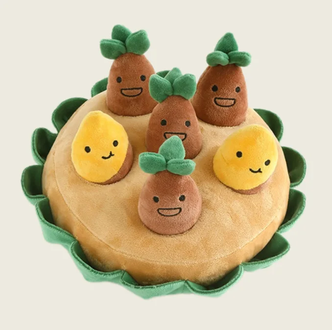  Ʈ ֿ  ÷ 峭, BB ȭ