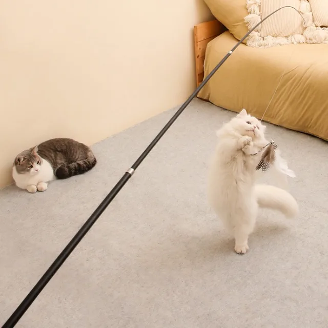 Extended telescopic cat stick Cat Toys 1.8m Scratch Resistant Pet Accessories Telescopic Fishing Rod with Feather for Active Cat