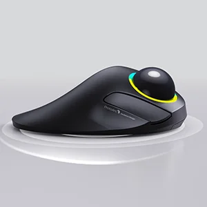 Toys e Sports