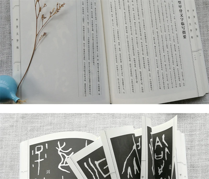 Oracle Knochen Skript Wörterbuch Copybook Chinesischen Zeichen Kalligraphie Sammlung Tutorials Buch Pinyin Index Mit Anmerkungen – Detail 21