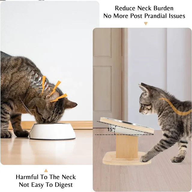 Elevated Cat Dog Bowls 15 degrees Tilted Raised Cat Food Water Bowls Pet Bowls for Cats & Small Dog Wooden Dog Bowl Pet Supplies 3