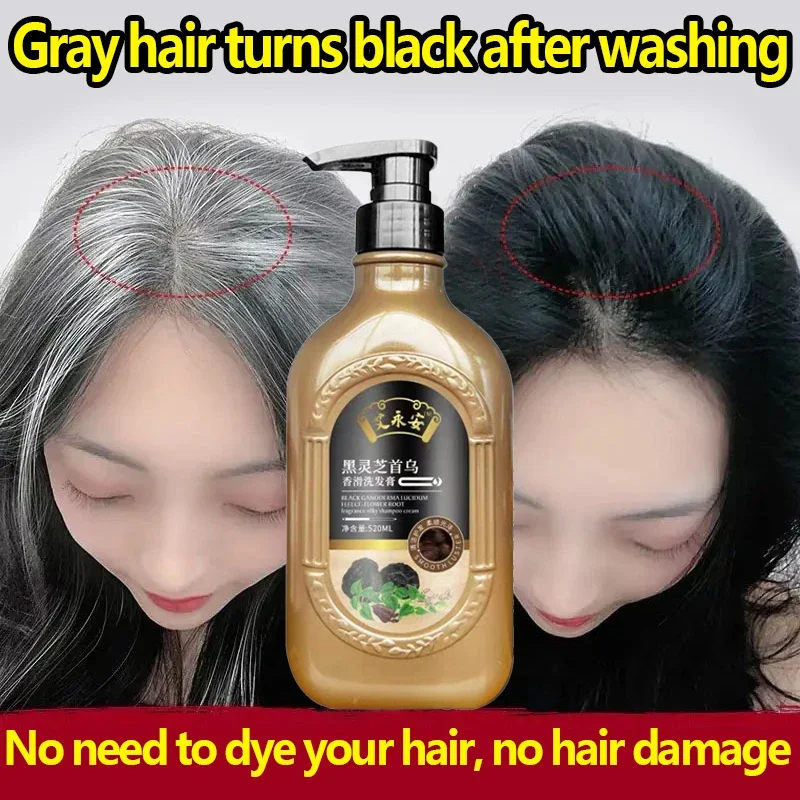 Natural Herbal Ganoderma Lucidum Black Hair Shampoo Permanent Effective White Turn Black Strengthen Hair Roots 520ml 2