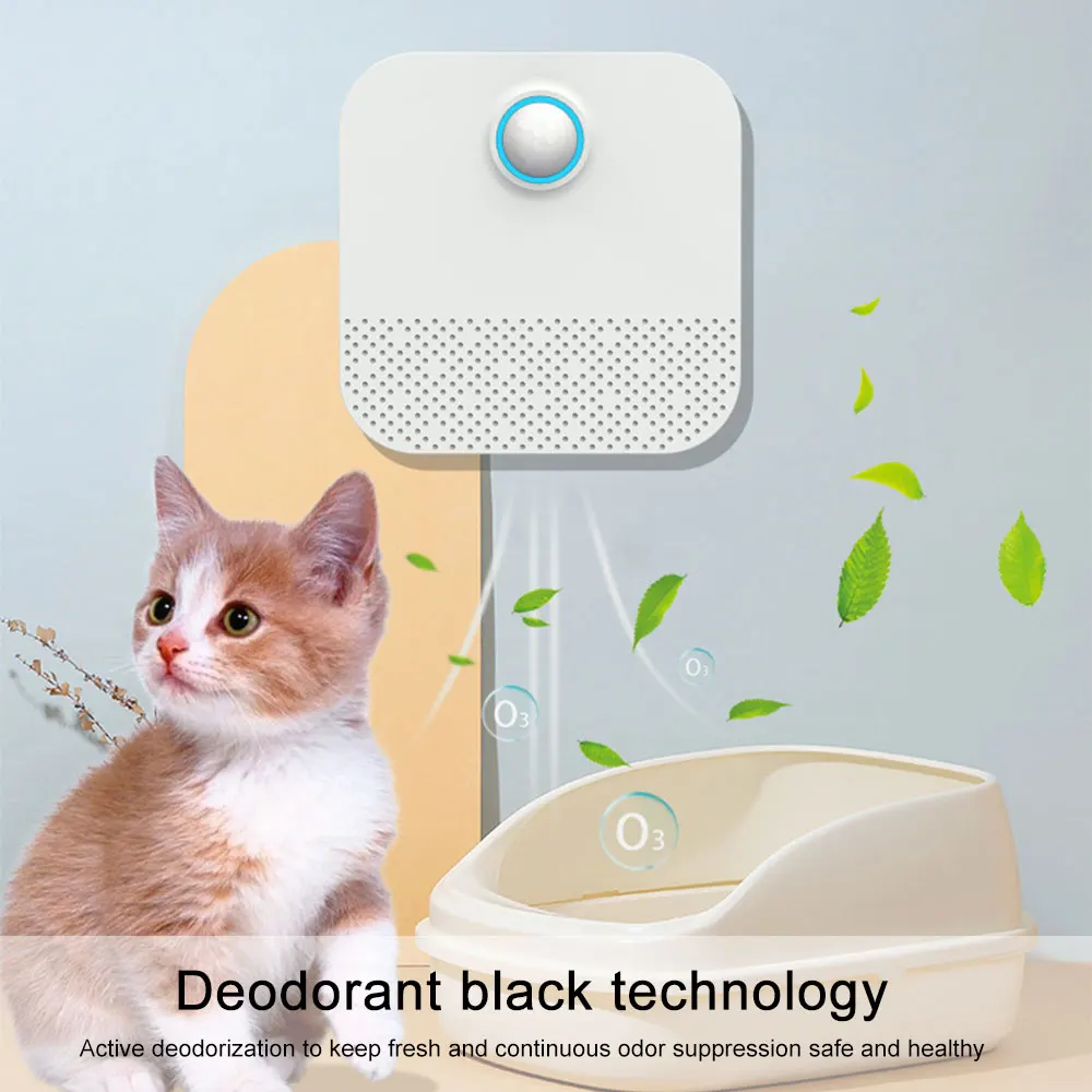 How To Teach Kitten Where To Poop lupon.gov.ph