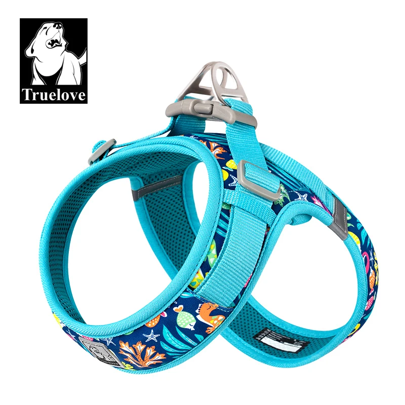 Blue Atoll-