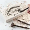 Dinosaur Fossil Excavation Kits Education Archeology Exquisite Jurassic Toy Set Game Action Children Figure Skeleton Model Gift 2