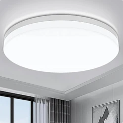Sleek Modern LED Ceiling Lamp (Cold White)