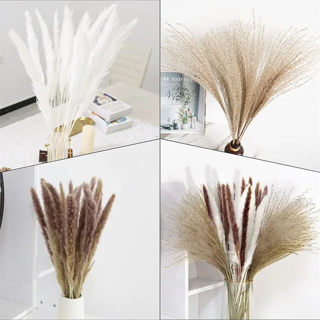 10 Pack Dried Reeds Natural Plants Small Pampas