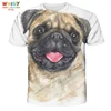 Bulldog face