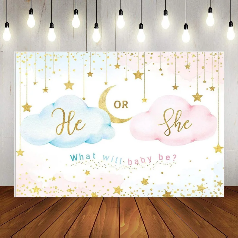 Gender Reveal Bear Sfondo He Or She Pink Blue Photography Background Cloud Party Decorations Banner Photo Booth Puntelli