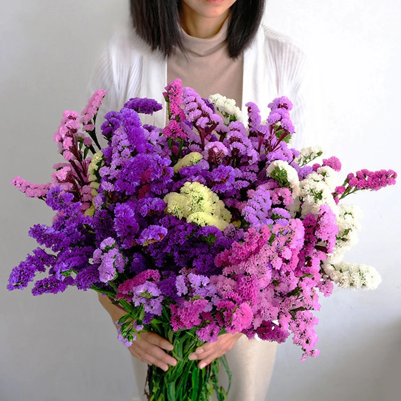 Natural Dried Flowers Forget-Me-Not Bouquet Real Flowers Home Room Decr Wedding Decroation Accessories DIY Epoxy Resin Material