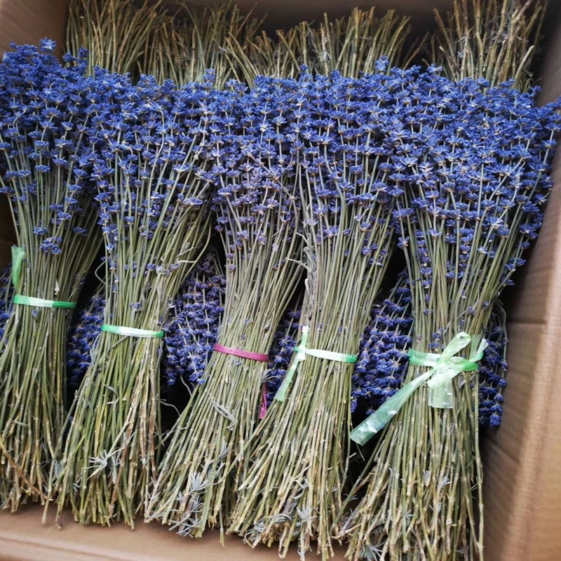 Natural Lavender Real Dried Flower Bouquet Purple Dried Lavender Bundles For Home Offic Decoration DIY Candles Mold Epoxy Resin