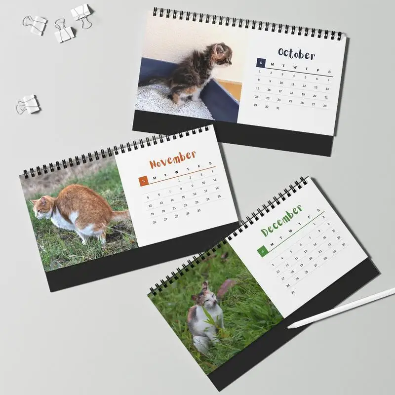 Calendrier mural drôle de chat portable, 12 mois, pendu, flipping, mensuel,  à partir de janvier 2024 décembre 2024, 2024 - AliExpress