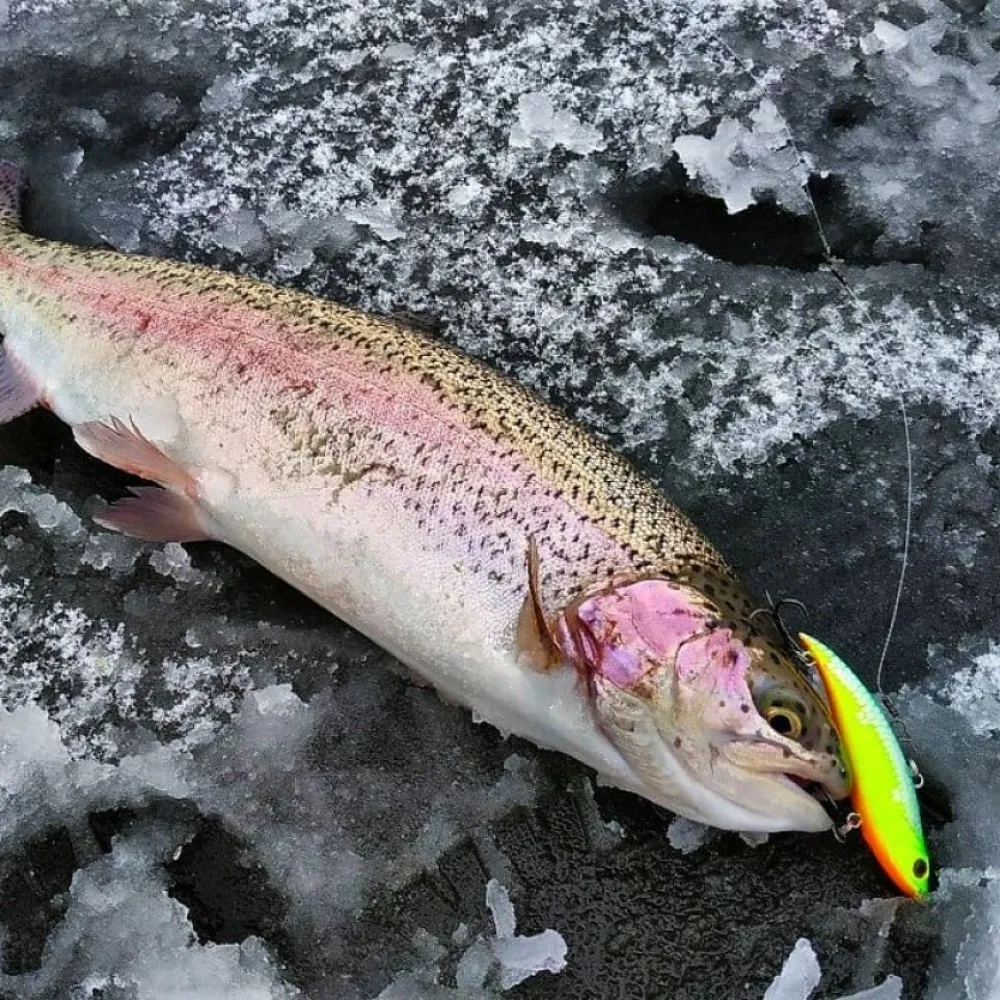 Spinning Rattlin VIB Fishing BayBlue Lure 75/90mm Wobbler für Hecht Eis Balance Winter VIB Swimbait Angelgerät Simth Vika 90er Jahre – Detail 1
