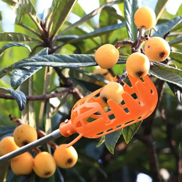 1pc-Fruit Picker Garden Pickers Home Loquat Work Tools Supplies Plastic Labor Saving Picking Device Bayberry Persimmon Pear 6