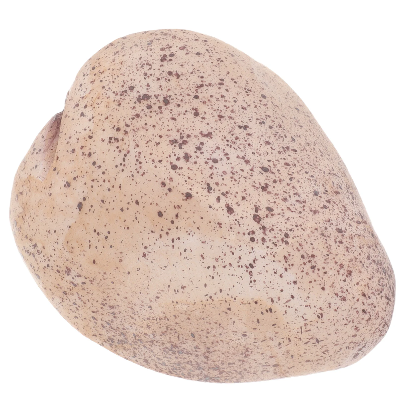 

Hide A Spare Key Fake Rock Weatherproof Safe Storage Box Safe Looks Feels Like Real Stone Rock Key Holder Hidden Key Saving