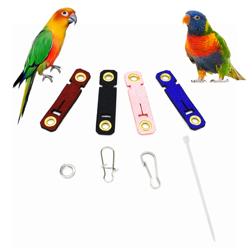 PetParrotLegRingAnkleFootChainBirdRingParrotFootClaspSplit