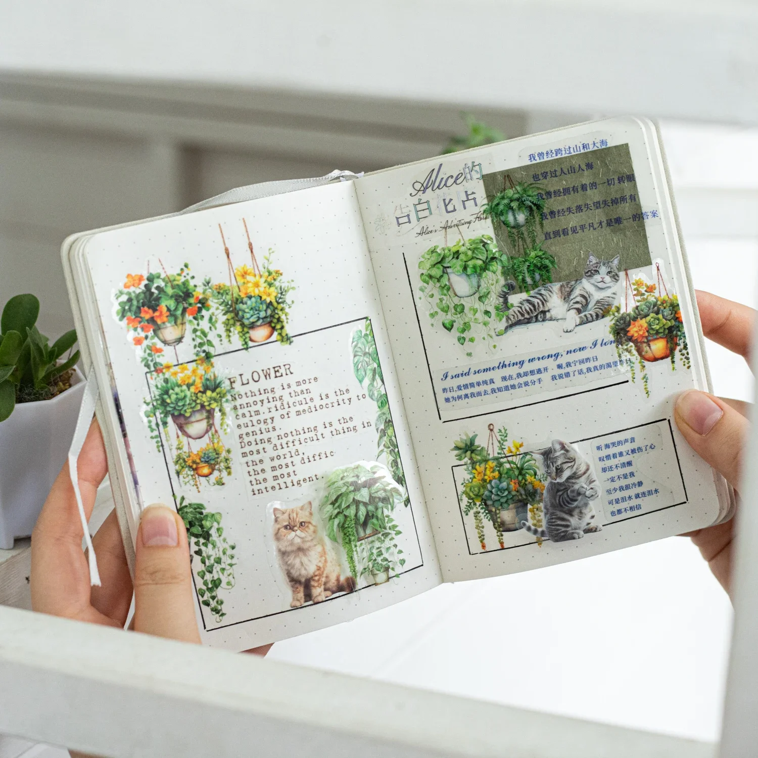 JIANWU 50mm*200cm Little Hanging Basket Series Vintage Plant Flower Landscaping PET Tape Creative DIY Journal Collage Stationery 5