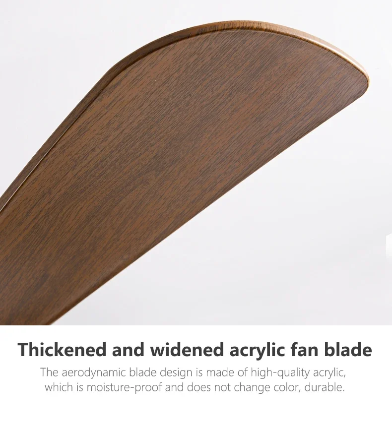 Low Floor Ceiling Fan Light