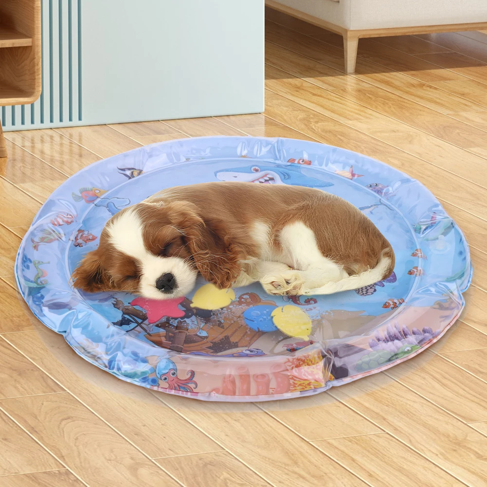 Extra Thick Aqua Interactive Cat Play Mat Cat Toys Bored Pet Animals Kicker Toys Self Play Mat for Indoor Outdoor Exercise