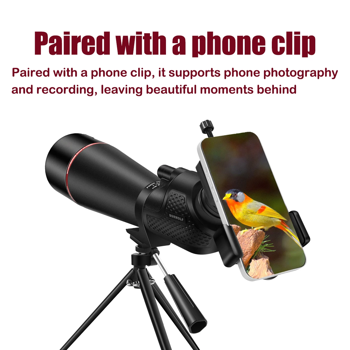 BORWOLF Zoom Spotting Scop 2