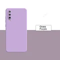 Grass Purple