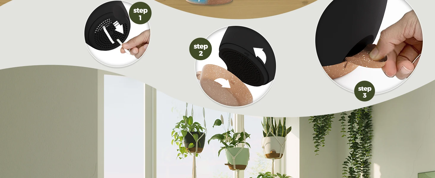 plant pot