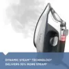 Professional Steam Iron, D3030, 30% More Steam, Percison Tip, Stianless Steel Soleplate, Vertical Steam Fuction 3