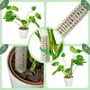 Plant Climbing Column Sphagnum Moss Pole Plants Growing Support Stand Water-Retaining Fertilizer-Rich Plant Extension Pole Stick 3